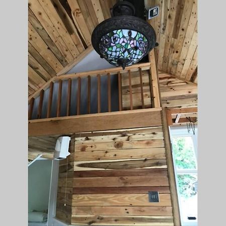 The Shed . A Cosy, Peaceful, 96% Recycled, Chalet. Swansea Exteriér fotografie