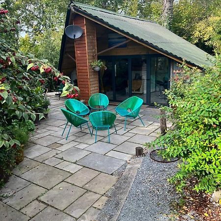 The Shed . A Cosy, Peaceful, 96% Recycled, Chalet. Swansea Exteriér fotografie