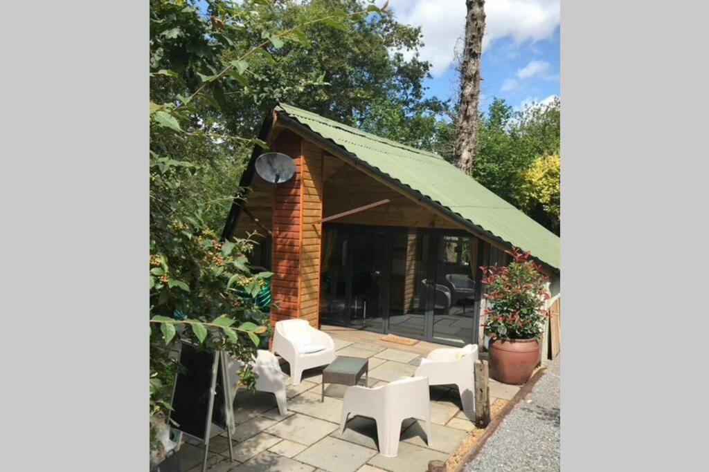 The Shed . A Cosy, Peaceful, 96% Recycled, Chalet. Swansea Exteriér fotografie