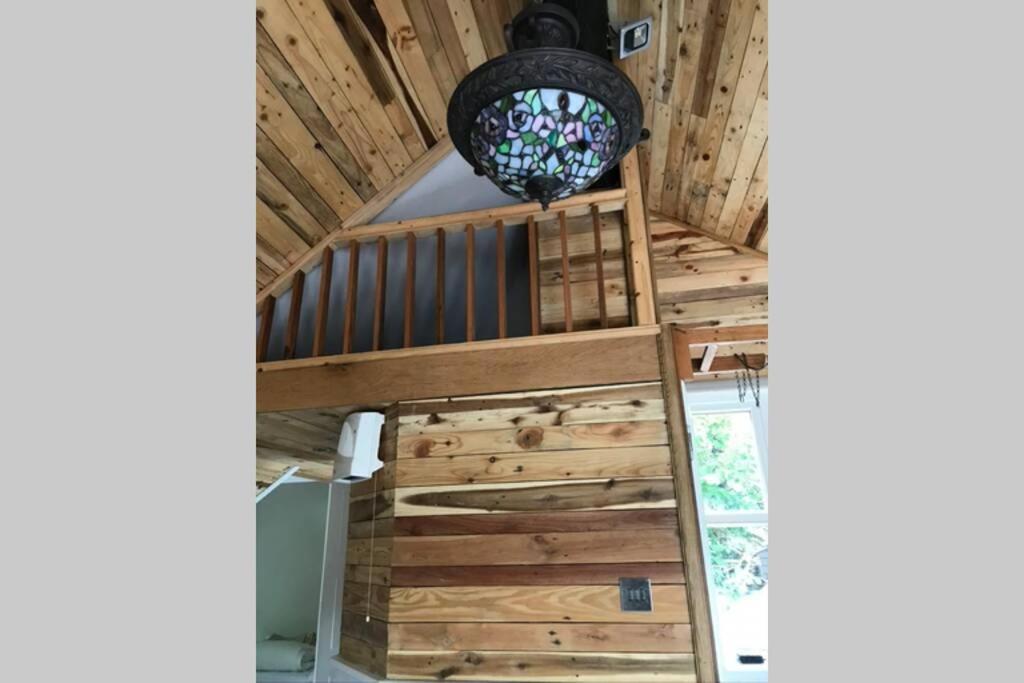 The Shed . A Cosy, Peaceful, 96% Recycled, Chalet. Swansea Exteriér fotografie