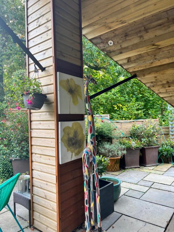 The Shed . A Cosy, Peaceful, 96% Recycled, Chalet. Swansea Exteriér fotografie